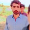 ali.gohar.palari2