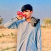 salmangulli520