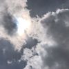rao_036
