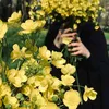 zozaa_94