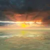 karakurt_2418