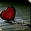 user7910430837012