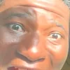 clipperfarmd1