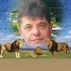 andibulli