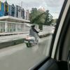 zahraaajaaa02