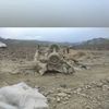 baloch.khan9962