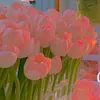 yn.nhi._35