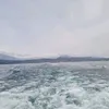 untanomamo