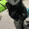 mrtoast121