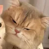 nguoixinhtraii