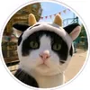 user3404135765