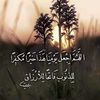 user1067183850732