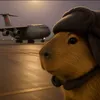 capybae_05