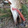 vadim_fishing.ua
