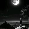 595___lucas___.mv