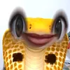 ryn_iuuuu