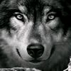 user6601071924485