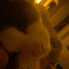 lotsoflove.e