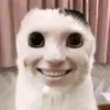 ngngnhtienn..1