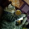 cimoy_2524