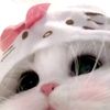 eshika964