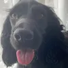 jack007288