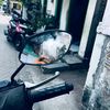 sikntrrrr4