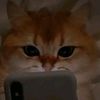 user57982274901242