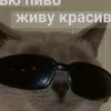 ilya_manya