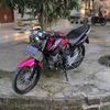 rendisaja282
