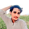 tanveer.anjum831