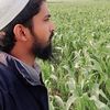hafiz.abulkam