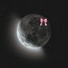 batool0587