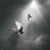 allncips_