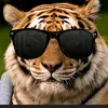 user2863307360093