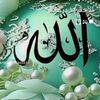 user18262761653221