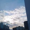 luu_mt6