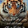 omary3110