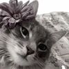 heartsfromarianny