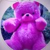 user12124293258864