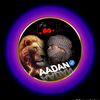 adamabdi015