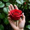 user1561613074200