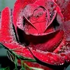 user7000118058122