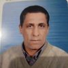 ebrahimfawzyebra7