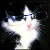 maybot_mv