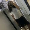 lianna8066