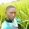 user8461536816885