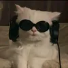 yourayyaayyyay