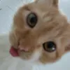 gugu38479