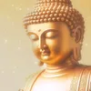 Phật pháp nhiệm mầu 115